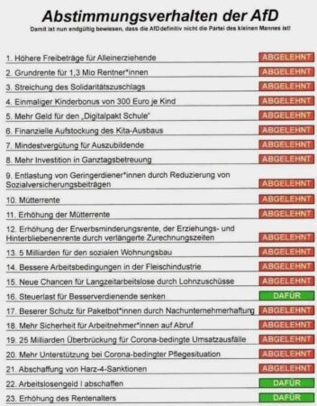 Abstimmungsverhalten der AfD 2024